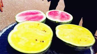 吃瓜爆料多少页,揭秘XX事件，全程回顾XX页精彩瞬间