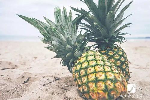 菠萝头娱乐吃瓜,揭秘娱乐圈吃瓜背后的真相与笑料